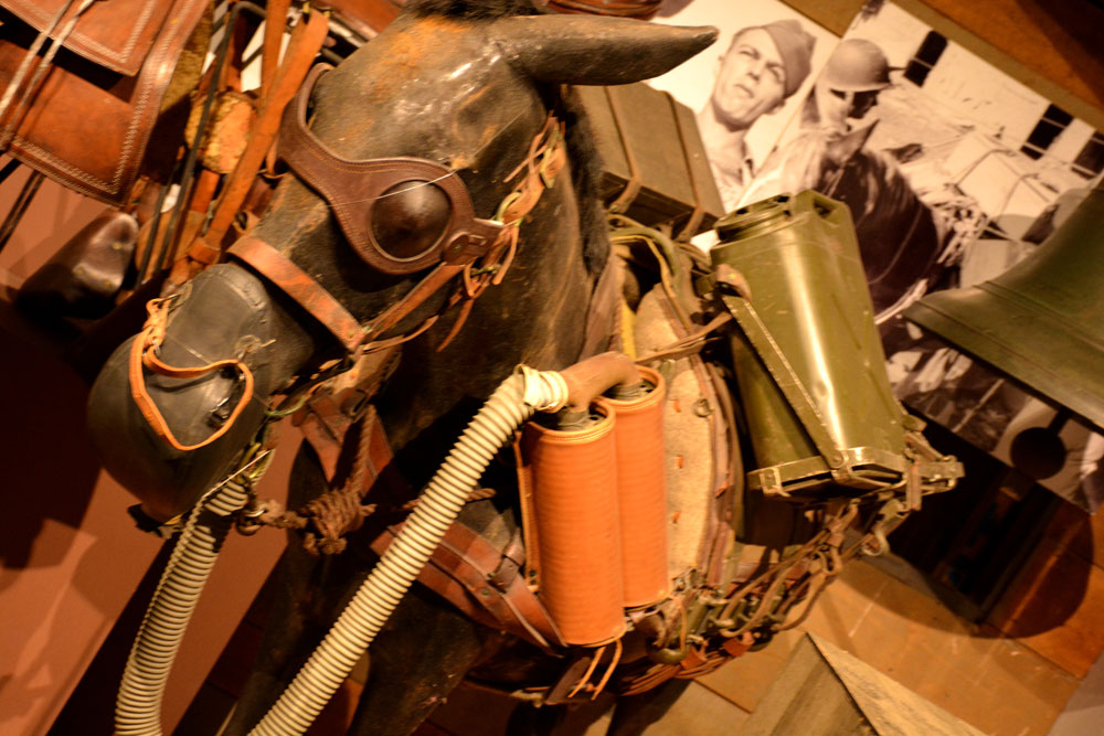 An exhibit of a horse carrying supplies at the US Army Quartermaster Museum.